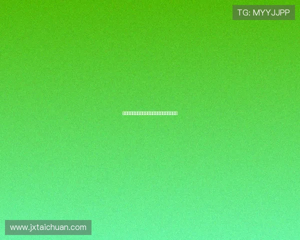 德国足球文化的独特魅力与德甲联赛发展历程探析